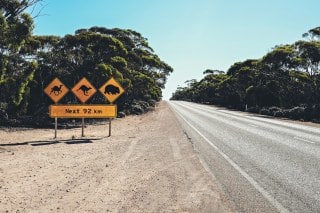 nullarbor-cote-sud-itineraires-road-trip