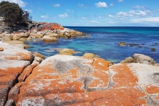 tasmanie-bay-of-fire