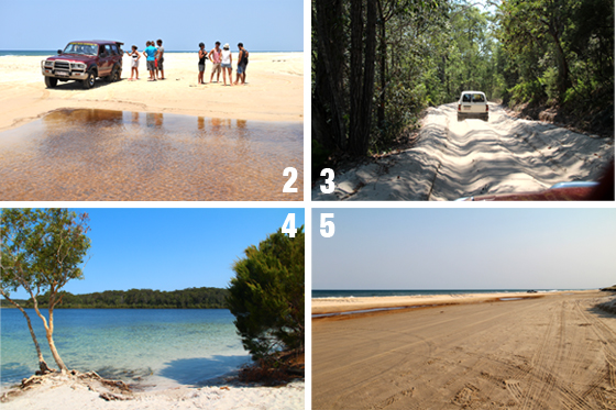 Fraser Island Tour 4x4 Australie Backpackers