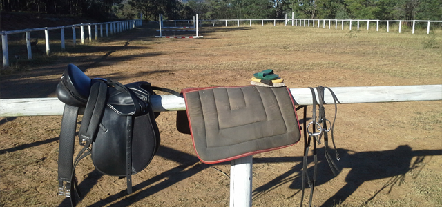 Travailler chevaux Australie 2