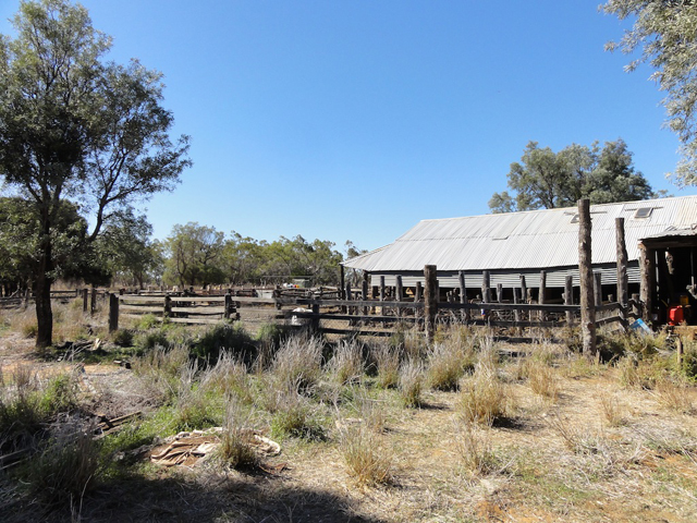 bergerie moutons australie