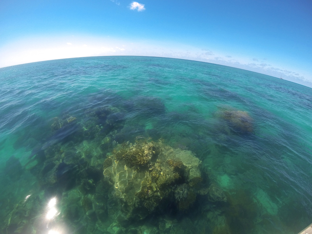 Job Cairns Australie Moniteur plongée