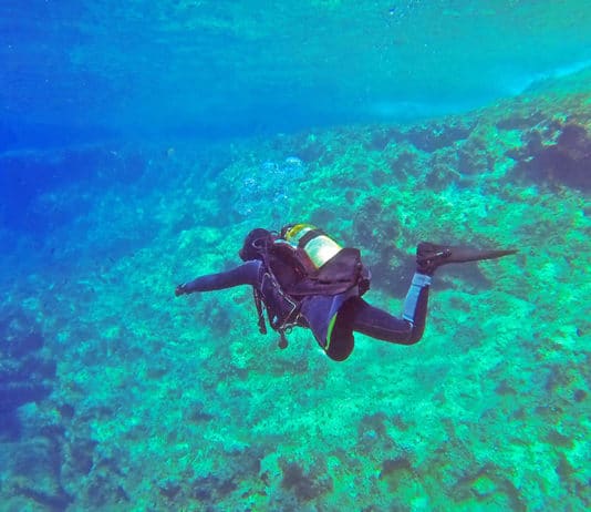 Moniteur de plongée en Australie, un job de rêve