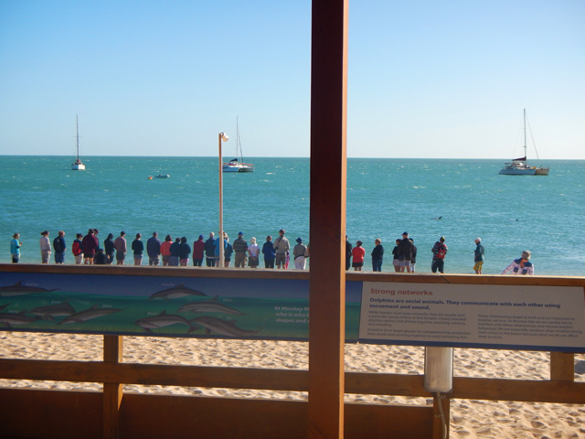 Vue de la "fish room" où les volontaires travaillent lors de la preparation de la feed