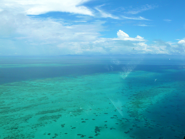 Job Cairns Australie Moniteur plongée