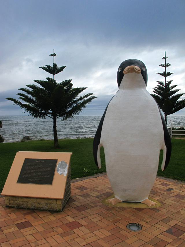 statut de Pingouin Tasmanie Burnie