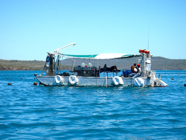 Pearling job Australia broome