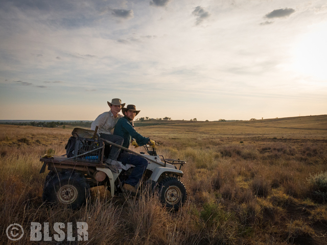 Job dans un ranch Australie