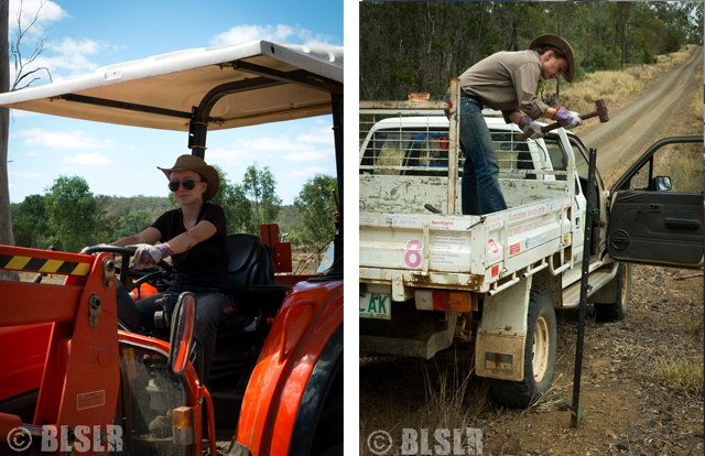 Job dans un ranch Australie