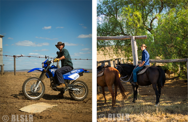 Travaux ranch australie cheveaux