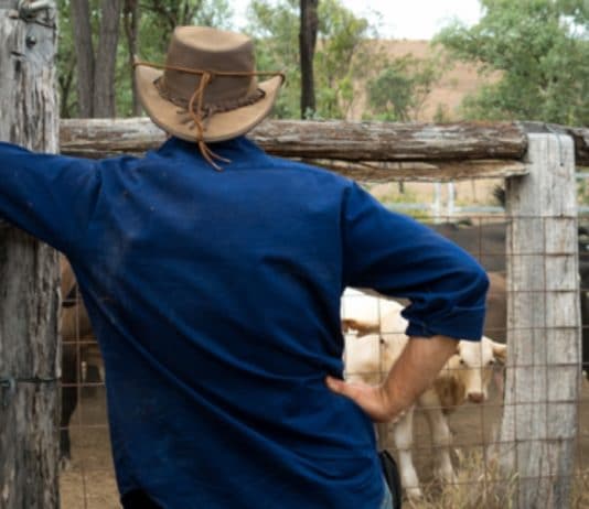 Faire du volontariat dans un ranch en Australie