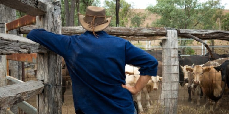 Faire du volontariat dans un ranch en Australie