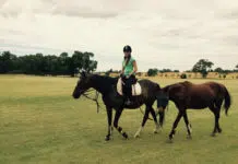 Job groomeuse Australie
