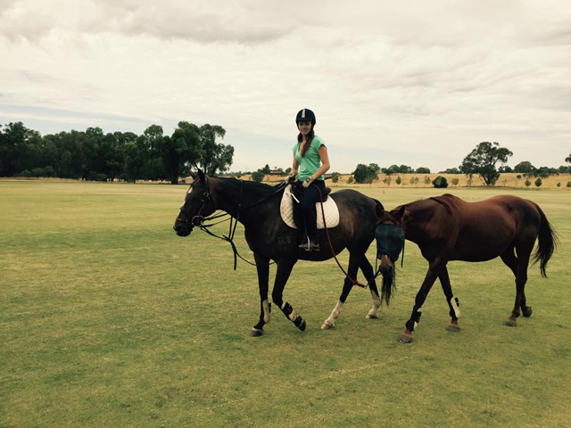 Travailler en tant que groom avec des chevaux en Australie