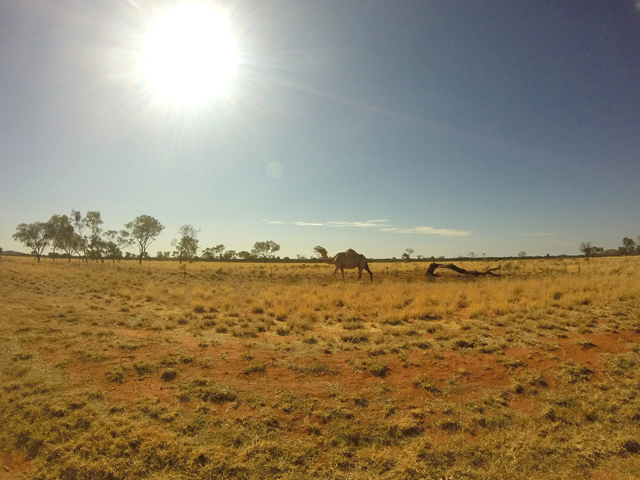 Aileron Australie