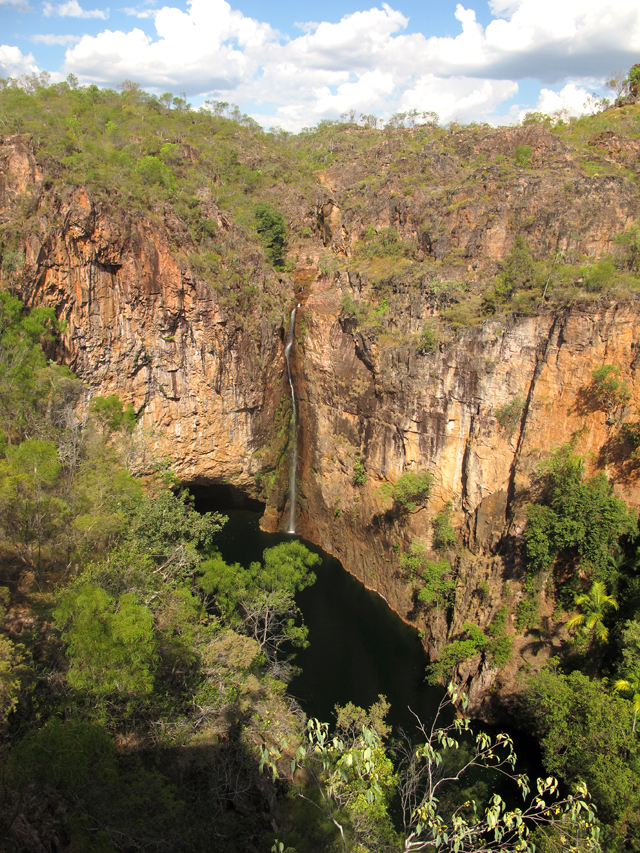 Les cascades du Litchfield National Park sont idéales pour se rafraichir