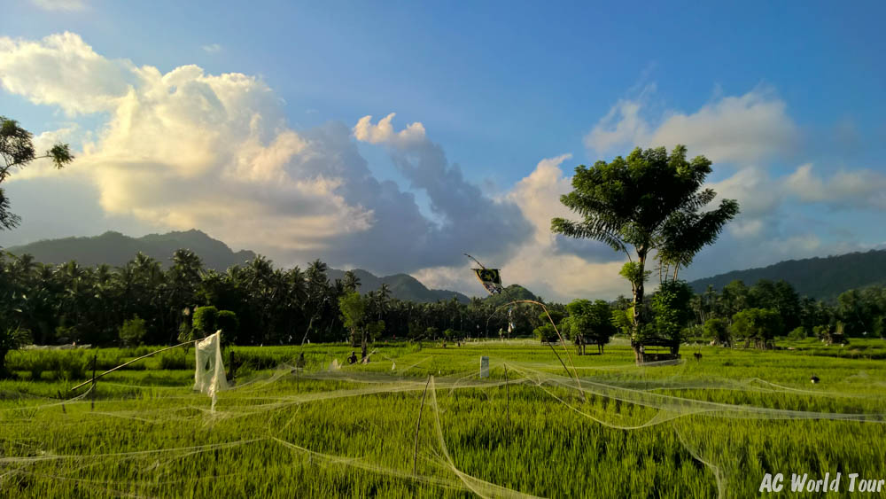 Tour du monde Bali