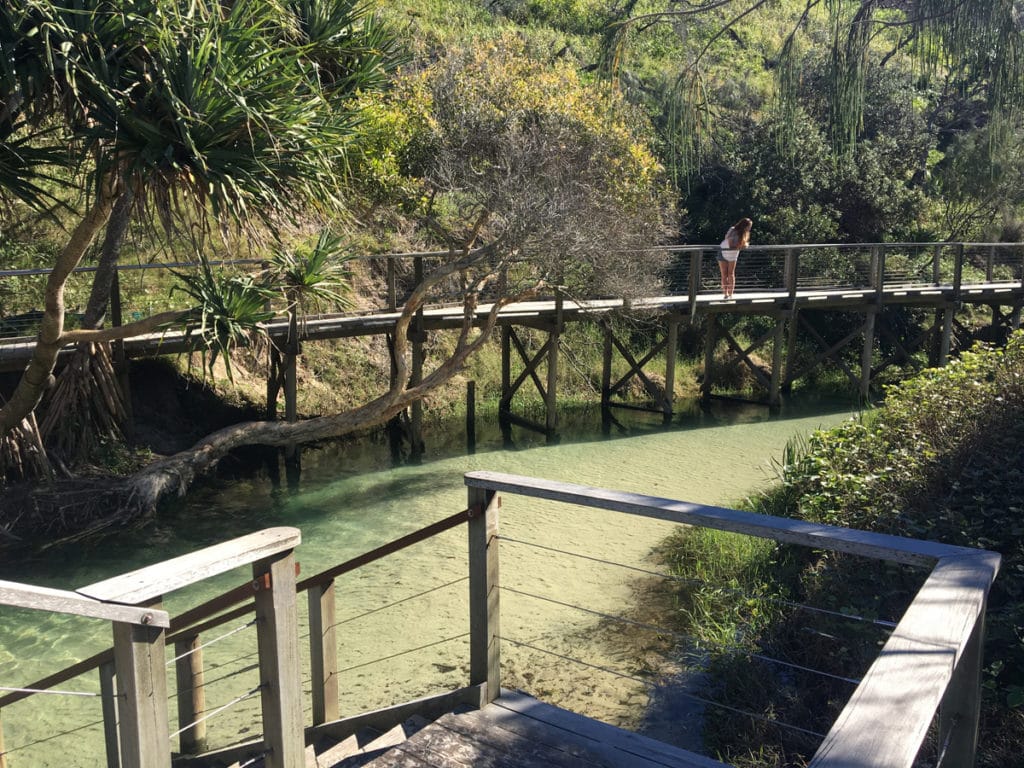 Eli Creek sur Fraser Island en Australie, une rivière d'eau douce ou l'on peut flotter jusqu'à l'océan