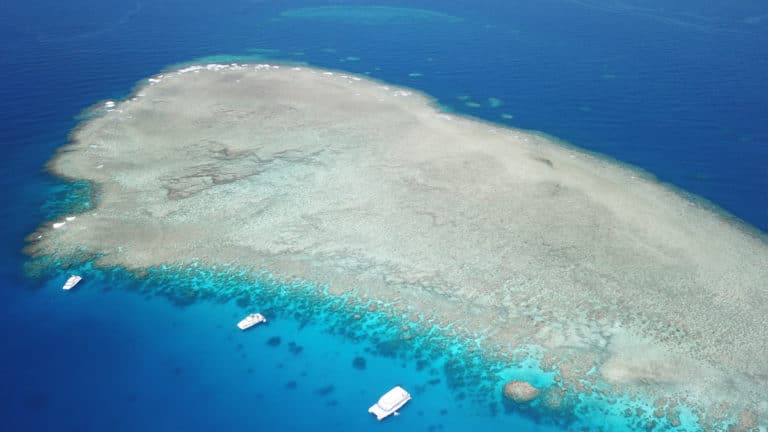 Plongée sur la Grande Barrière de Corail avec Reef Experience : Infos et retour d’expérience