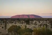 Que faire uluru australie