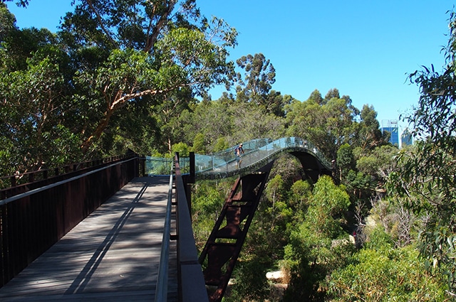 Que faire a perth kings park et botanic garden