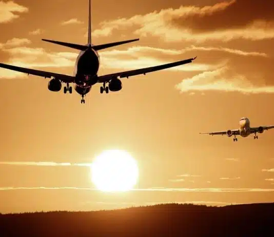 Douanes en Australie : produits autorisés et interdits douanes en australie