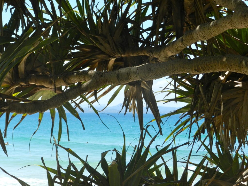 Surfer à Boomerang Beach, Forster, NSW