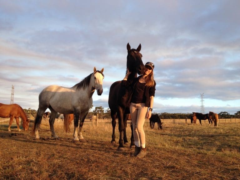 Travailler en Workaway dans un centre équestre thérapeutique en Australie