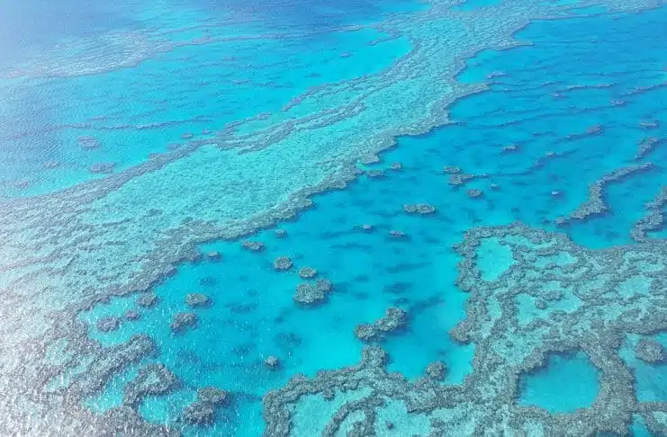 La Grande Barrière de Corail en Australie – Trésor marin mondial