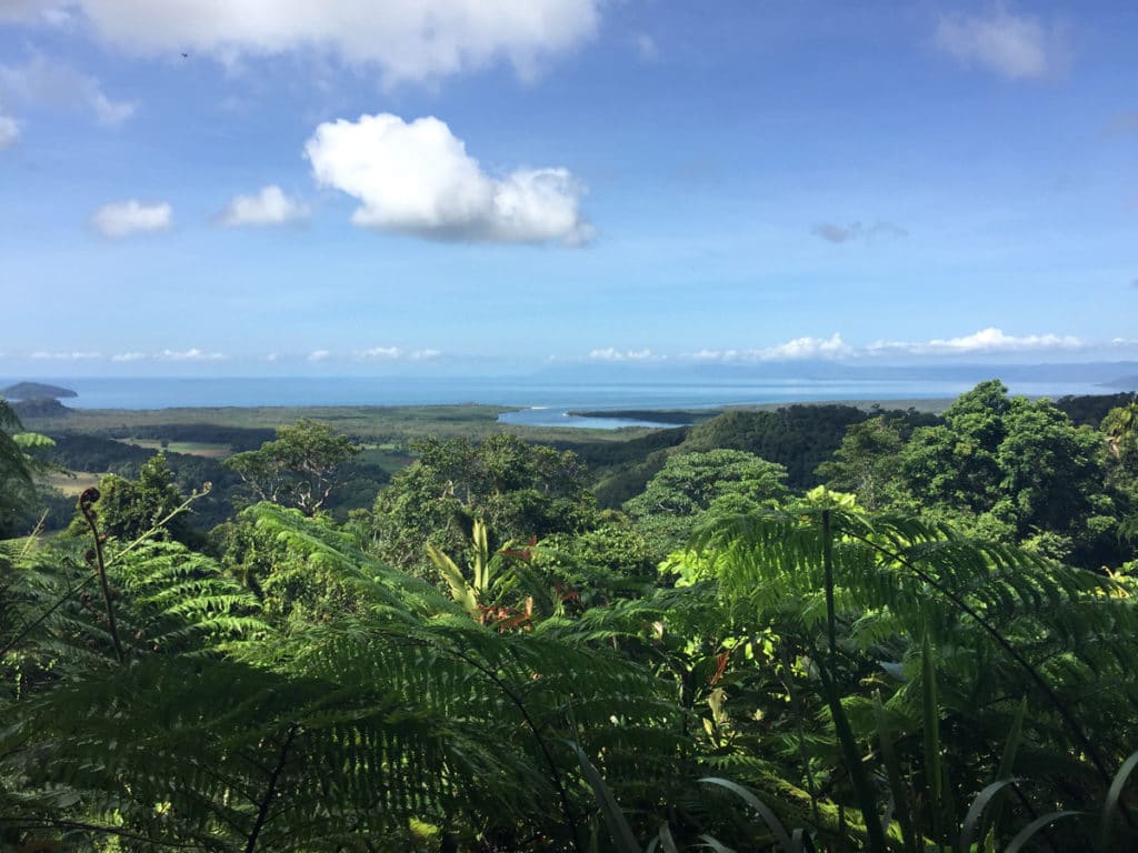 Vue sur la Daintree River depuis la forêt dans le nord de l'Australie