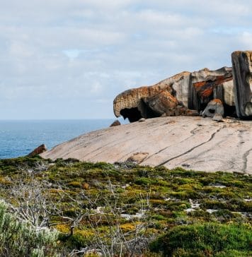Découvrir Kangaroo Island en Australie du Sud en 2026 — Les immanquables