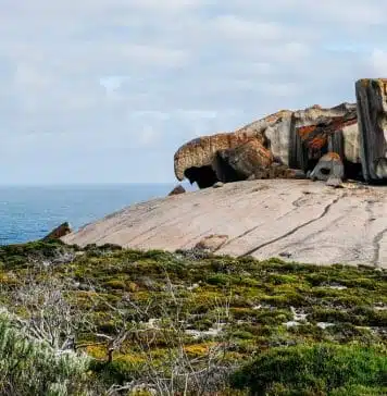 Découvrir Kangaroo Island en Australie du Sud en 2026 — Les immanquables