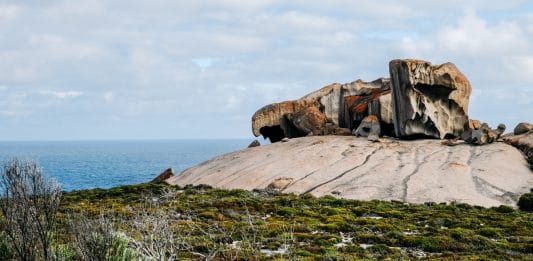 Découvrir Kangaroo Island en Australie du Sud en 2026 — Les immanquables
