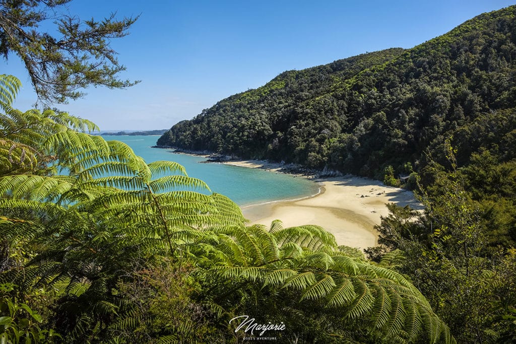 Anchorage beach – Abel Tasman