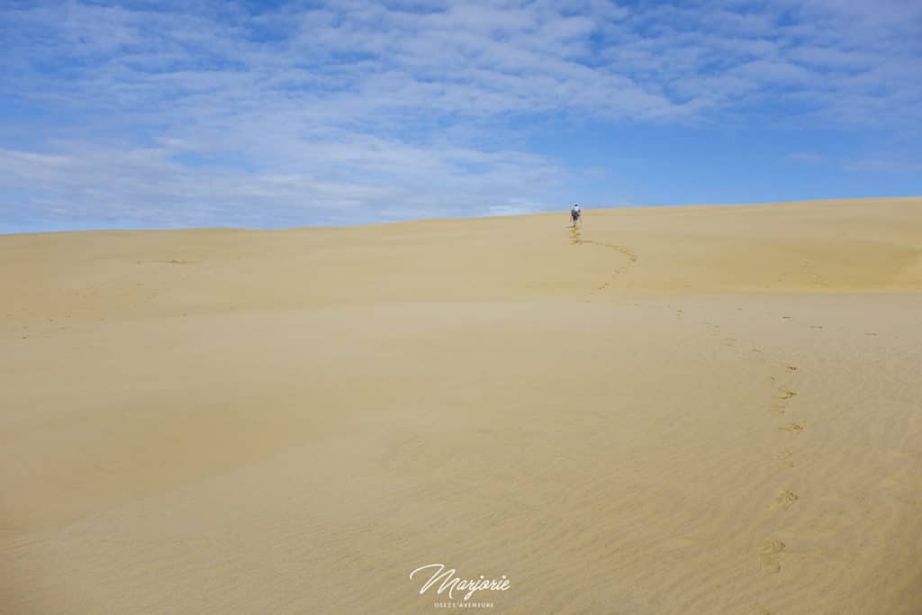 Ninety Mile Beach