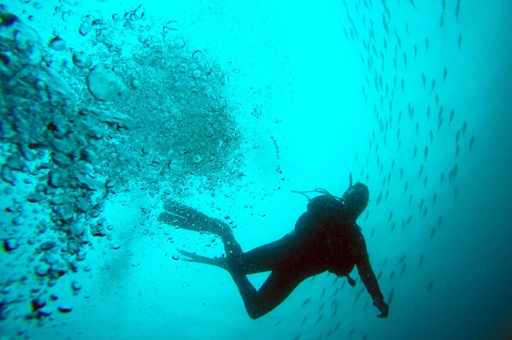 Devenir moniteur de plongée en Australie