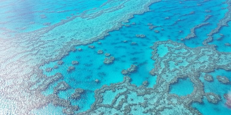 Faire un vol au-dessus de la Grande Barrière de Corail : Infos et retour d’expérience