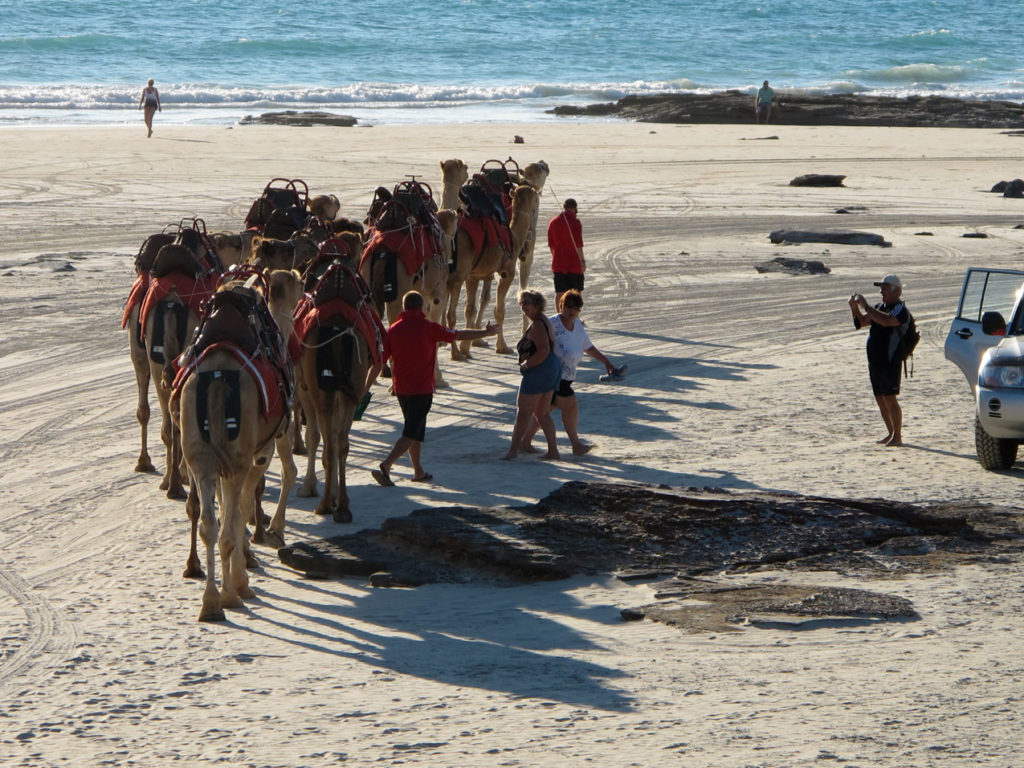 Balade à dos de dromadaire sur la plage de Broome