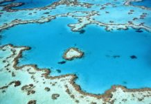 Heart Reef - Grande Barrière de Corail - Australie