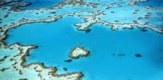 Vol panoramique au-dessus des Whitsundays et Grande Barrière de Corail Heart Reef - Grande Barrière de Corail - Australie