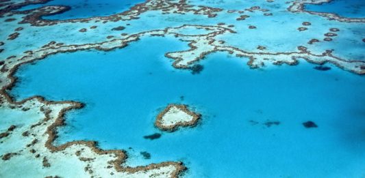 Vol panoramique au-dessus des Whitsundays et Grande Barrière de Corail Heart Reef - Grande Barrière de Corail - Australie