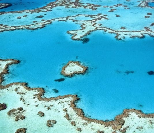 Heart Reef - Grande Barrière de Corail - Australie