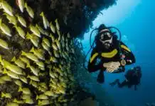 Passer son diplôme de plongée en Australie