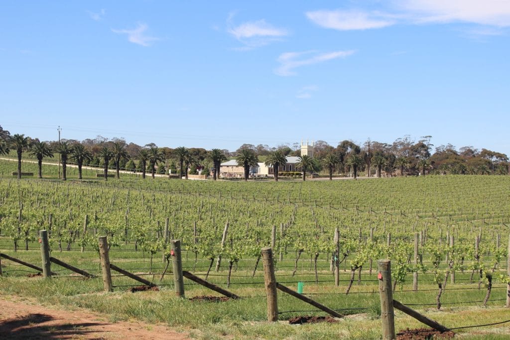 Vignes Barossa Valley - Adélaïde