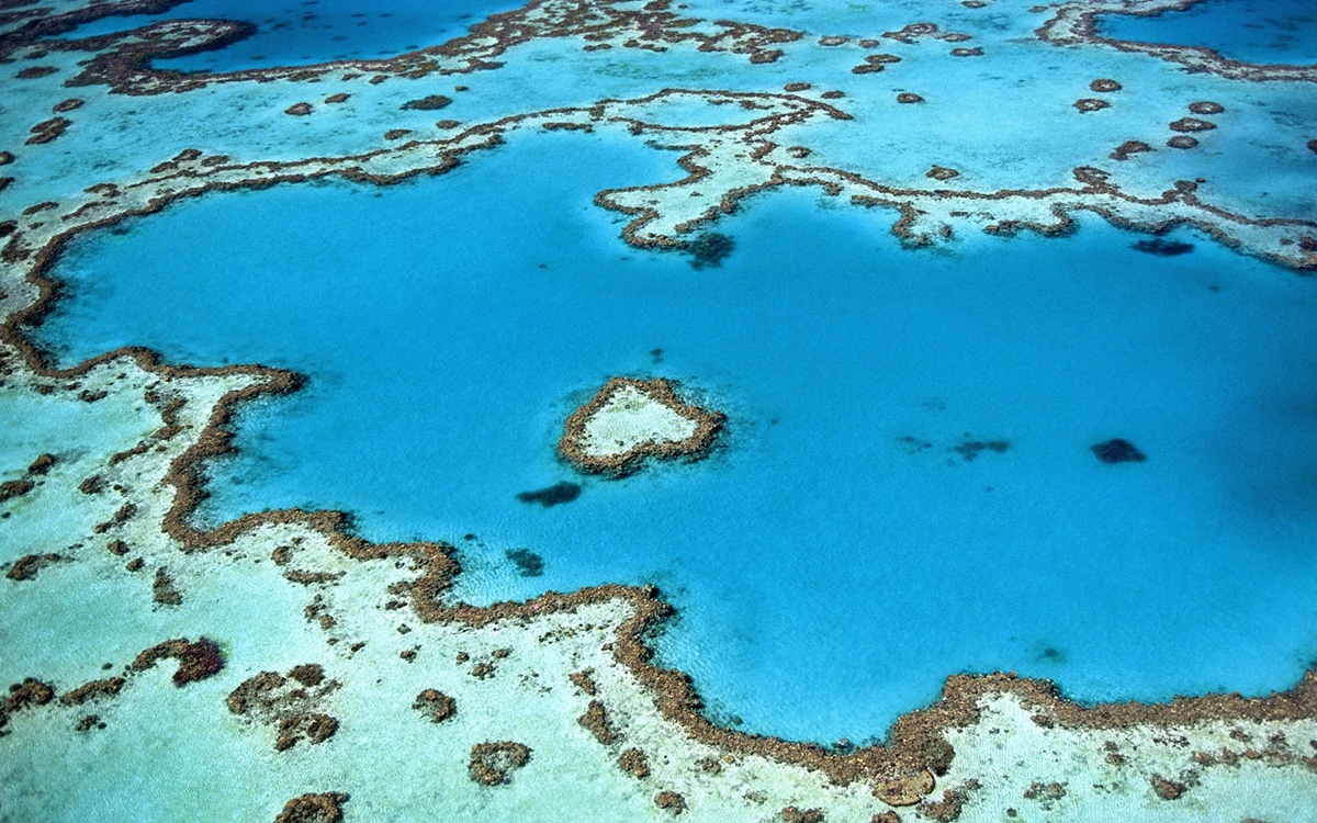 louer un van cairns grande barrière de corail