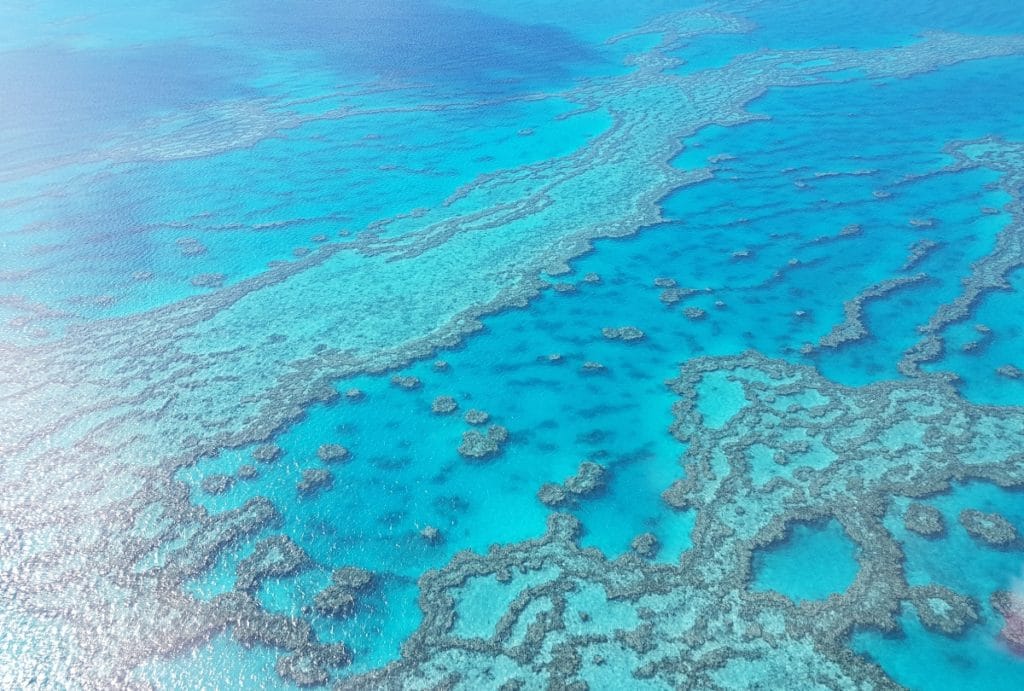 La grande barrière de corail, réserver un tour pour explorer cette merveille