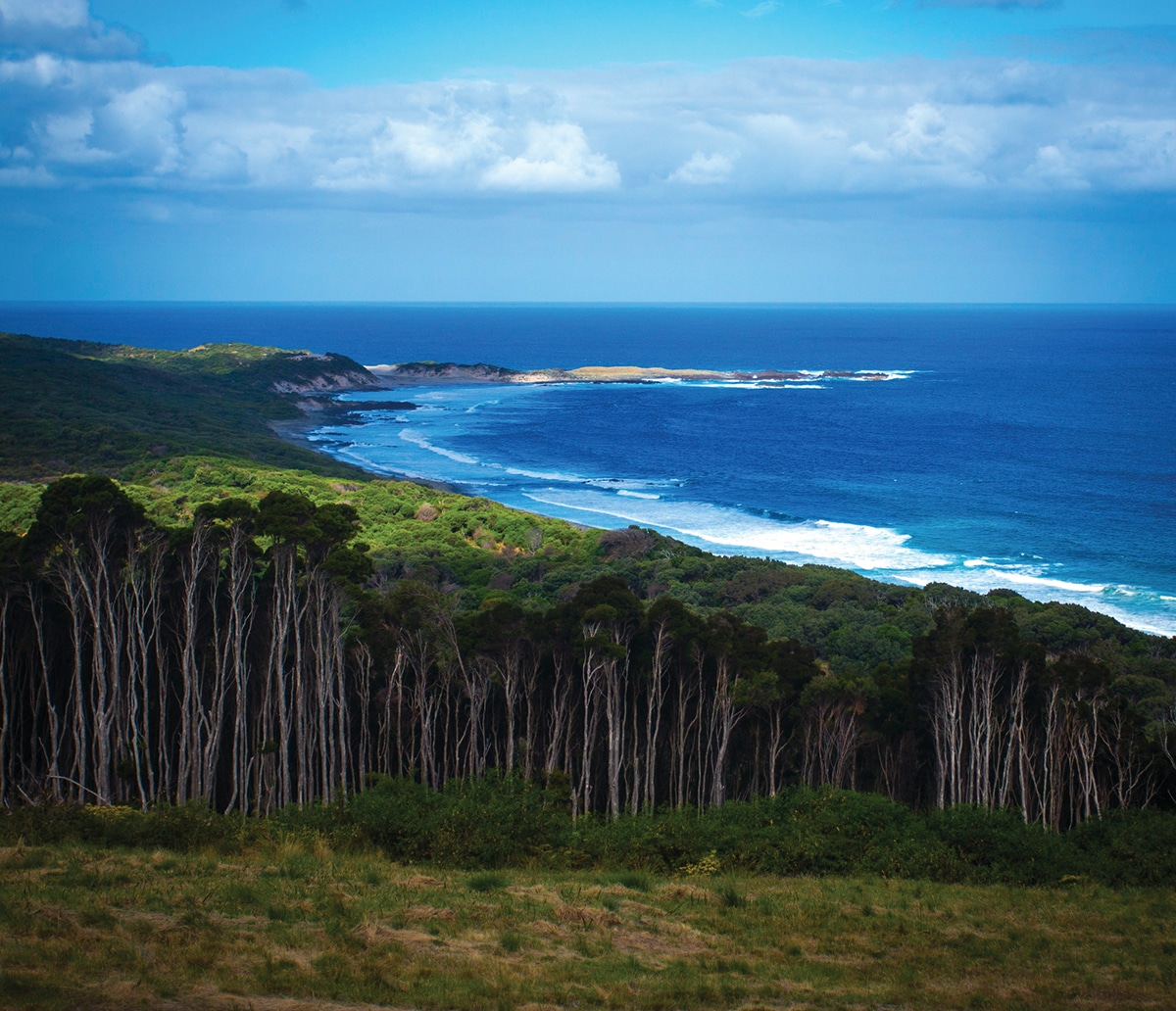 Ile. de King en Tasmanie