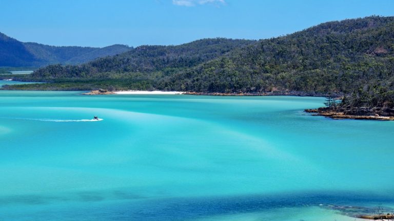 Les meilleures excursions sur les Whitsunday Islands – Comparatif