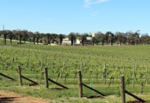 Visiter Barossa Valley - Adélaïde - Australie