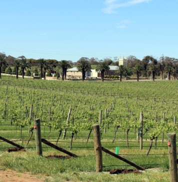 Visiter Barossa Valley - Adélaïde - Australie